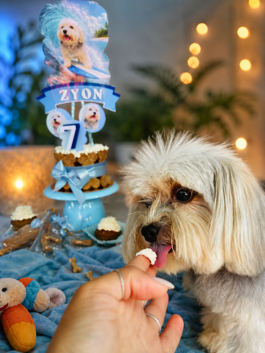 AUniversário pet — Chef Pet Gourmet